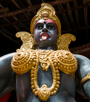 Know Your Future (20)